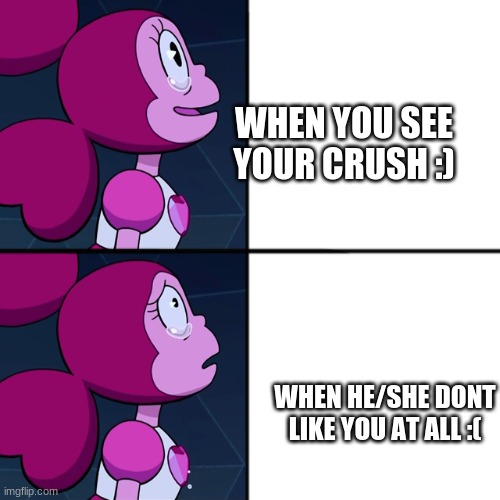 Spinel | WHEN YOU SEE YOUR CRUSH :); WHEN HE/SHE DONT LIKE YOU AT ALL :( | image tagged in spinel | made w/ Imgflip meme maker