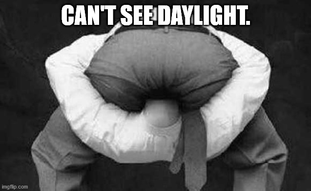 Head up ass  | CAN'T SEE DAYLIGHT. | image tagged in head up ass | made w/ Imgflip meme maker