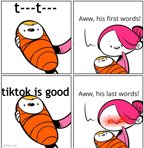 Aww, His Last Words | t---t---; tiktok is good | image tagged in aww his last words | made w/ Imgflip meme maker