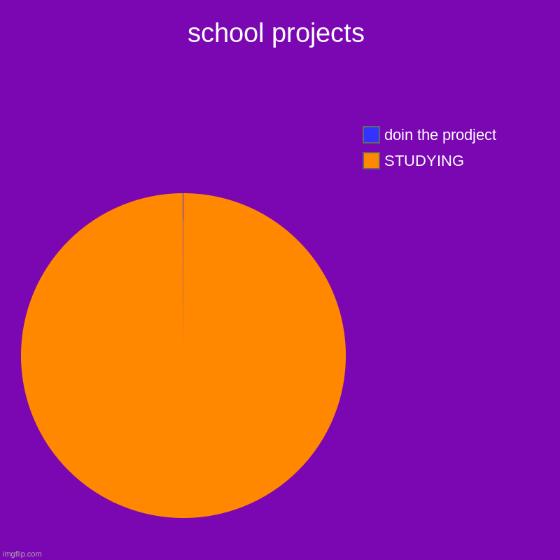 school projects | STUDYING, doin the prodject | image tagged in charts,pie charts | made w/ Imgflip chart maker