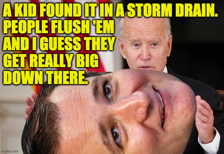 Don't lose any sleep over this.  It's just a meme. | A KID FOUND IT IN A STORM DRAIN.
PEOPLE FLUSH 'EM 
AND I GUESS THEY
GET REALLY BIG
DOWN THERE. | image tagged in memes,ted cruz,flushed,biden,just a meme | made w/ Imgflip meme maker