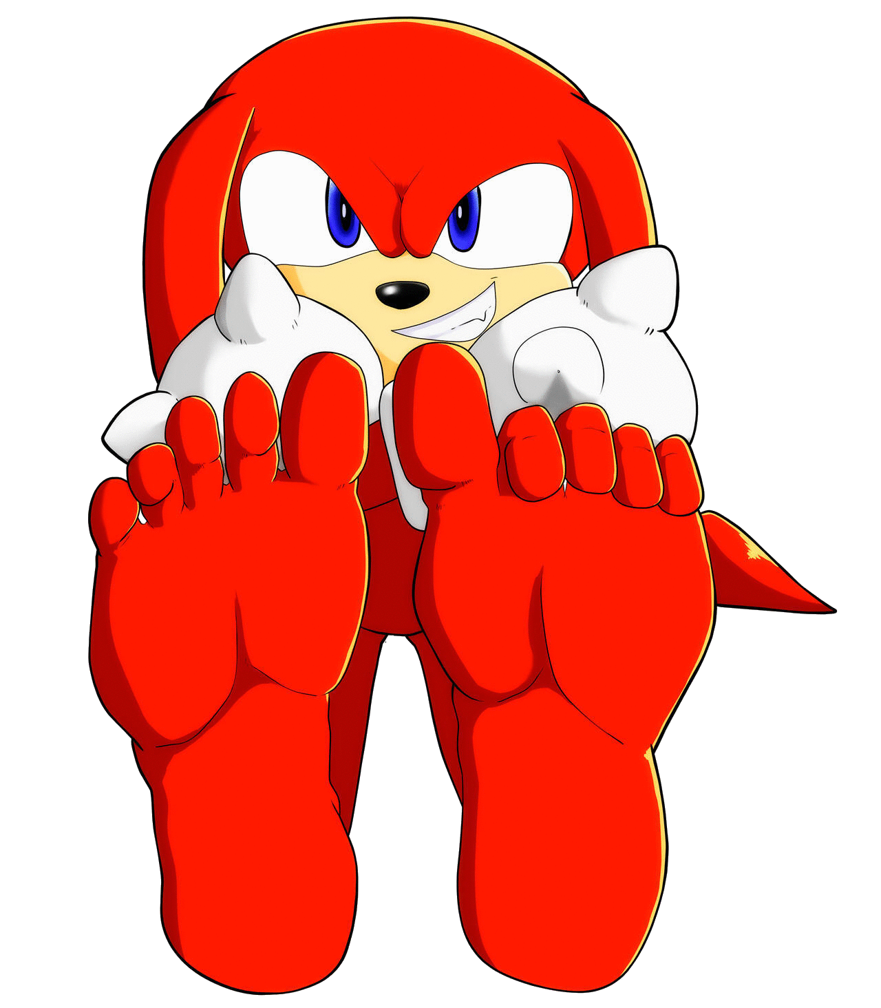 Knuckles Feet Blank Meme Template