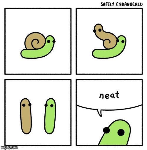 they had me at the first half ngl | image tagged in comics/cartoons,snail,neat,twist | made w/ Imgflip meme maker