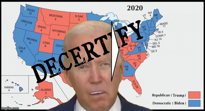 Decertify Fraudulent 2020 Election | image tagged in election 2020,2020 elections,trump wins,america,joe biden,traitors | made w/ Imgflip meme maker
