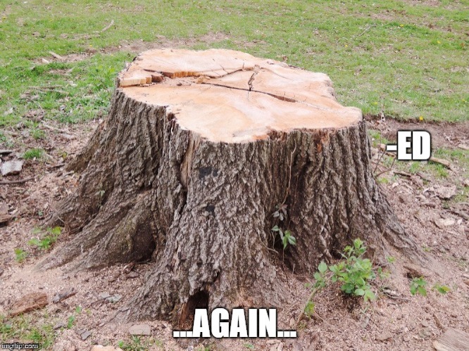 Tree-ed? Wha? | image tagged in play on words | made w/ Imgflip meme maker