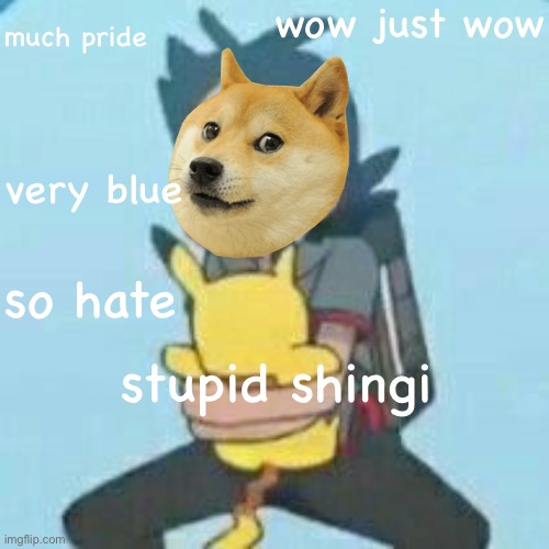 Doge is Goh XD | wow just wow; much pride; very blue; so hate; stupid shingi | image tagged in pokemon journeys,wow doge,doge,pikachu,pokemon,wow just wow | made w/ Imgflip meme maker