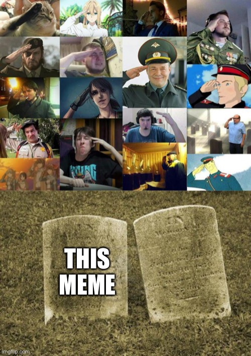 Dead memes | THIS MEME | image tagged in salute to our fallen heroes,memes | made w/ Imgflip meme maker