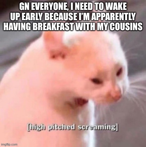 [high pitched screaming] | GN EVERYONE, I NEED TO WAKE UP EARLY BECAUSE I’M APPARENTLY HAVING BREAKFAST WITH MY COUSINS | image tagged in high pitched screaming | made w/ Imgflip meme maker