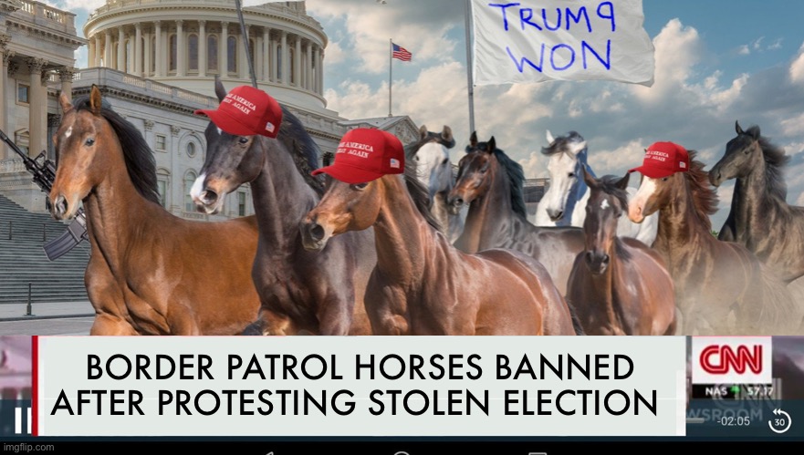 AZ Audit finds fraud | BORDER PATROL HORSES BANNED AFTER PROTESTING STOLEN ELECTION | image tagged in biden,border wall | made w/ Imgflip meme maker