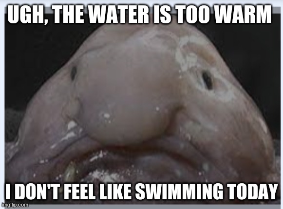The Real Aquaman | UGH, THE WATER IS TOO WARM; I DON'T FEEL LIKE SWIMMING TODAY | image tagged in the real aquaman | made w/ Imgflip meme maker