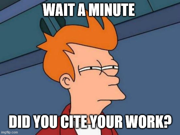 Futurama Fry | WAIT A MINUTE; DID YOU CITE YOUR WORK? | image tagged in memes,futurama fry | made w/ Imgflip meme maker