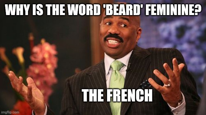 Pourquoi |  WHY IS THE WORD 'BEARD' FEMININE? THE FRENCH | image tagged in memes,steve harvey | made w/ Imgflip meme maker