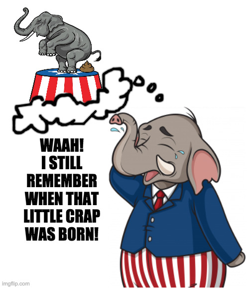 WAAH! I STILL REMEMBER WHEN THAT LITTLE CRAP WAS BORN! | image tagged in blank white template | made w/ Imgflip meme maker