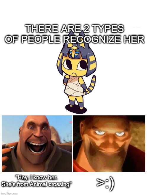 She have some sick beat | THERE ARE 2 TYPES OF PEOPLE RECOGNIZE HER; "Hey, I know her. She's from Animal crossing" | image tagged in blank white template | made w/ Imgflip meme maker