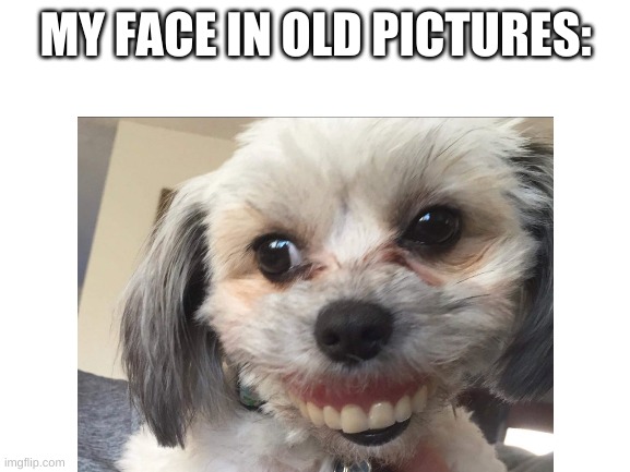 i cant think of a title | MY FACE IN OLD PICTURES: | image tagged in dog | made w/ Imgflip meme maker