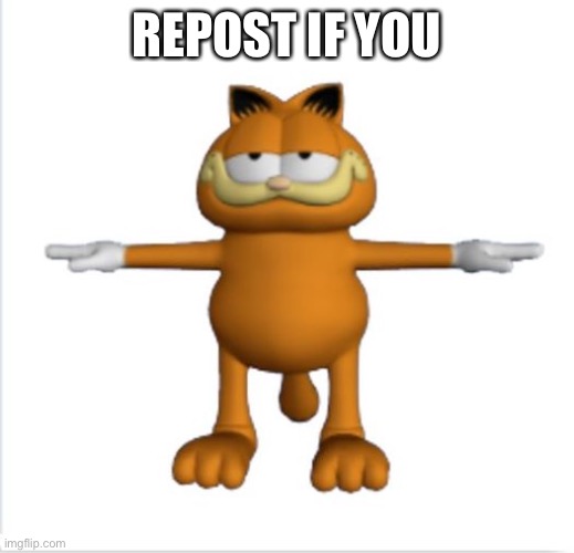 garfield t-pose | REPOST IF YOU | image tagged in garfield t-pose | made w/ Imgflip meme maker