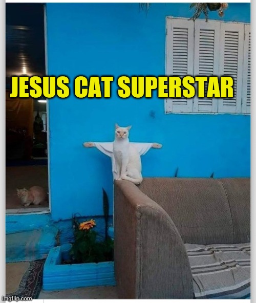 Jesus Cat Superstar |  JESUS CAT SUPERSTAR | image tagged in jesus cat,funny animals,peace sign,cat meme,catholicism,caturday | made w/ Imgflip meme maker