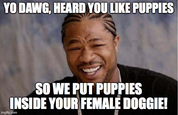 Another, more creative way to say your dog is pregnant! |  YO DAWG, HEARD YOU LIKE PUPPIES; SO WE PUT PUPPIES INSIDE YOUR FEMALE DOGGIE! | image tagged in memes,yo dawg heard you,puppies,dogs,pregnancy,pregnant dog | made w/ Imgflip meme maker