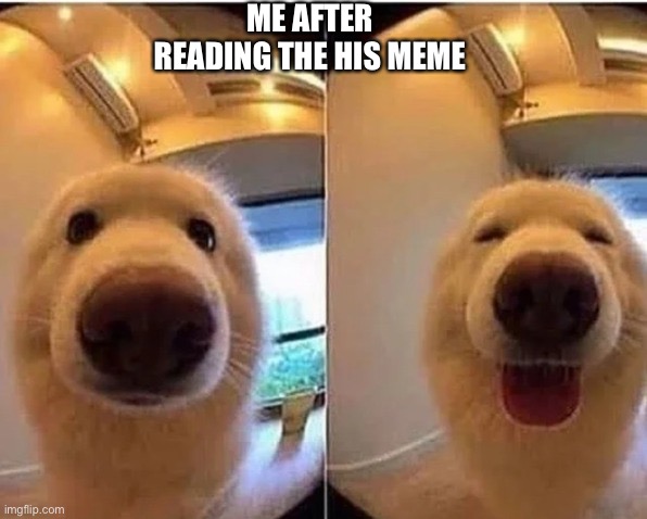 ME AFTER READING THE HIS MEME | image tagged in wholesome doggo | made w/ Imgflip meme maker