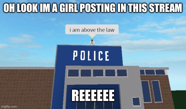 I am above the law | OH LOOK IM A GIRL POSTING IN THIS STREAM; REEEEEE | image tagged in i am above the law | made w/ Imgflip meme maker