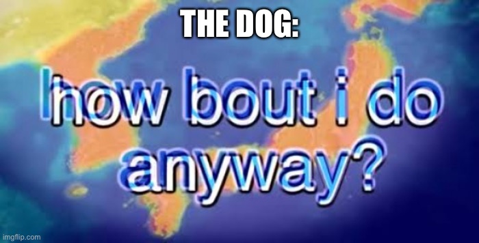 How bout i do anyway | THE DOG: | image tagged in how bout i do anyway | made w/ Imgflip meme maker