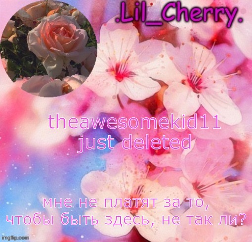 . | theawesomekid11 just deleted | image tagged in lil_cherrys announcement table | made w/ Imgflip meme maker