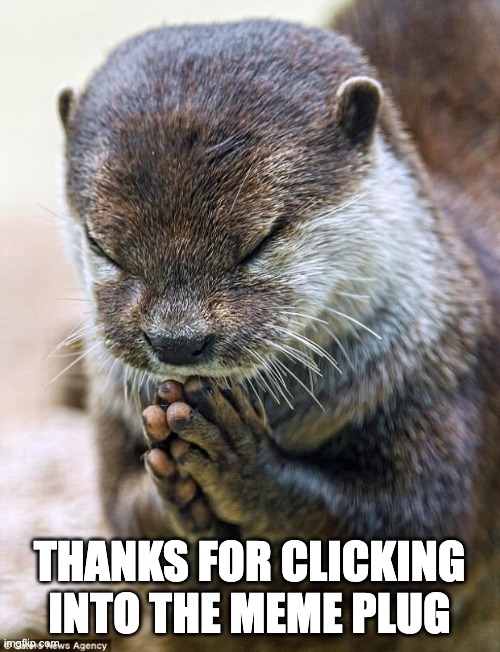 Thank you Lord Otter | THANKS FOR CLICKING INTO THE MEME PLUG | image tagged in thank you lord otter | made w/ Imgflip meme maker