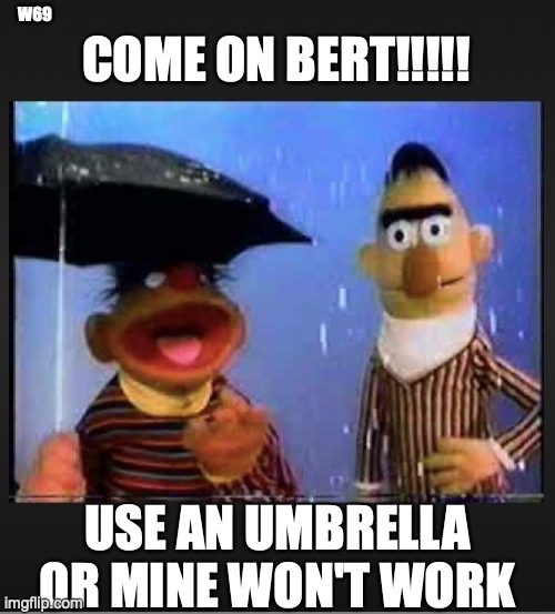 bert and ernie | W69; COME ON BERT!!!!! USE AN UMBRELLA OR MINE WON'T WORK | image tagged in vaxx umbrella,umbrella,bert and ernie | made w/ Imgflip meme maker