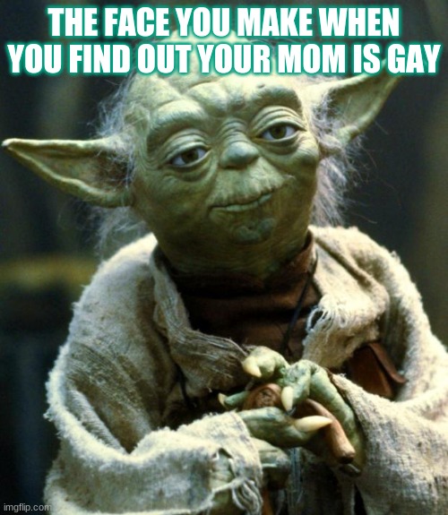 Star Wars Yoda Meme | THE FACE YOU MAKE WHEN YOU FIND OUT YOUR MOM IS GAY | image tagged in memes,star wars yoda | made w/ Imgflip meme maker