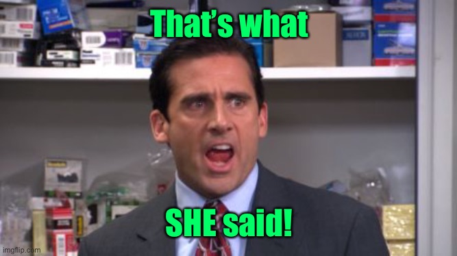 the office bankruptcy | That’s what SHE said! | image tagged in the office bankruptcy | made w/ Imgflip meme maker