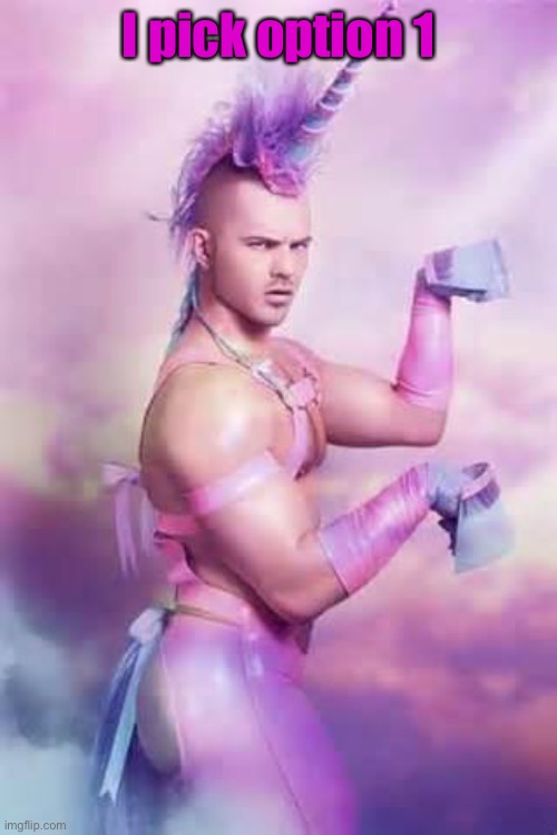 Gay Unicorn | I pick option 1 | image tagged in gay unicorn | made w/ Imgflip meme maker