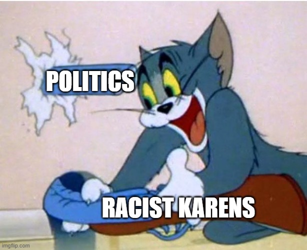 When I saw Racist Karens | POLITICS; RACIST KARENS | image tagged in tom and jerry,karens,racist | made w/ Imgflip meme maker