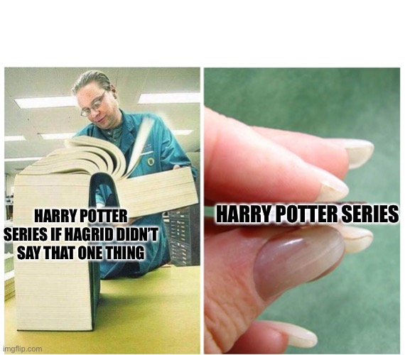 True | HARRY POTTER SERIES; HARRY POTTER SERIES IF HAGRID DIDN’T SAY THAT ONE THING | image tagged in big book small book | made w/ Imgflip meme maker