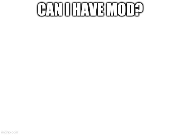 Blank White Template | CAN I HAVE MOD? | image tagged in blank white template | made w/ Imgflip meme maker