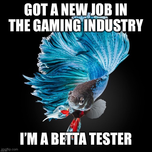 Couldn’t resist, ripe for a good pun | GOT A NEW JOB IN THE GAMING INDUSTRY; I’M A BETTA TESTER | image tagged in gaming,fish | made w/ Imgflip meme maker