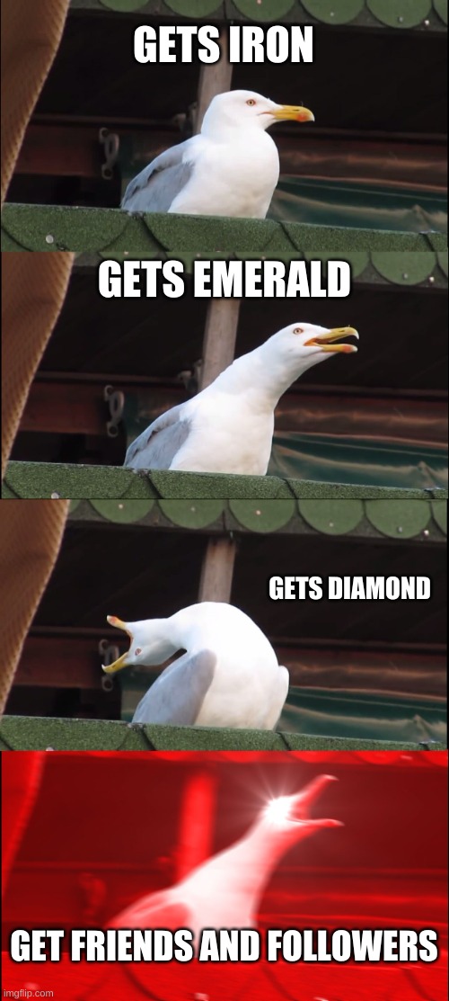 Inhaling Seagull | GETS IRON; GETS EMERALD; GETS DIAMOND; GET FRIENDS AND FOLLOWERS | image tagged in memes,inhaling seagull | made w/ Imgflip meme maker