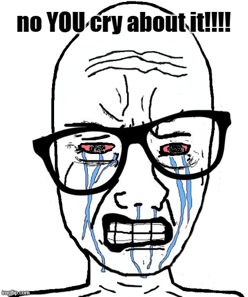 Wojak Crying | no YOU cry about it!!!! | image tagged in wojak crying | made w/ Imgflip meme maker