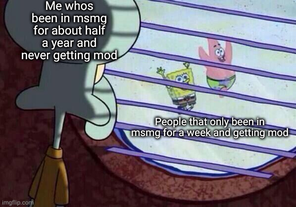 Squidward window | Me whos been in msmg for about half a year and never getting mod; People that only been in msmg for a week and getting mod | image tagged in squidward window | made w/ Imgflip meme maker