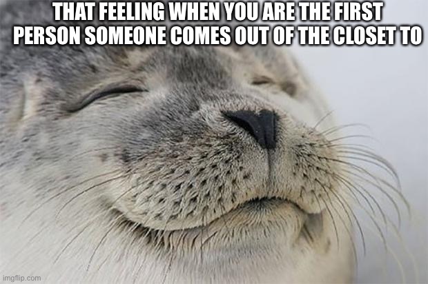 Or second, second is amazing to | THAT FEELING WHEN YOU ARE THE FIRST PERSON SOMEONE COMES OUT OF THE CLOSET TO | image tagged in memes,satisfied seal | made w/ Imgflip meme maker