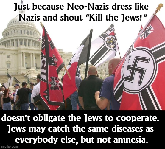 Jew-haters get a different reception this time, and are they surprised! | Just because Neo-Nazis dress like 
Nazis and shout "Kill the Jews!"; doesn't obligate the Jews to cooperate. 

Jews may catch the same diseases as 
everybody else, but not amnesia. | image tagged in nazis neo-nazi flags parade capitol washington dc,neo-nazis,weak,stupid,losers | made w/ Imgflip meme maker
