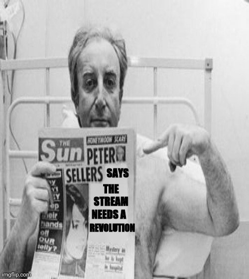 SAYS THE STREAM NEEDS A REVOLUTION | made w/ Imgflip meme maker