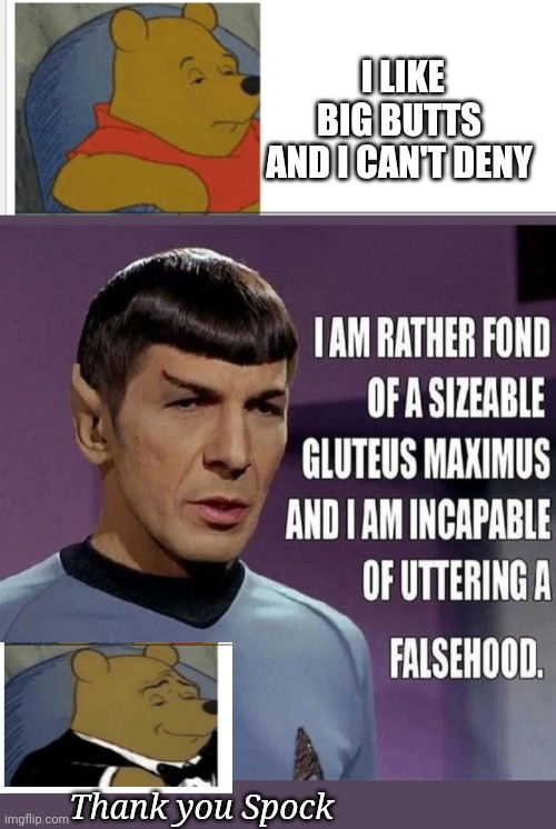 I LIKE BIG BUTTS AND I CAN'T DENY; Thank you Spock | image tagged in polite,speech,tuxedo winnie the pooh,condescending spock | made w/ Imgflip meme maker