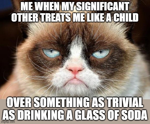 I'll be honest it's 2021 people are treating u like a child just for drinking one glass of soda :( what a gr8 world this is | ME WHEN MY SIGNIFICANT OTHER TREATS ME LIKE A CHILD; OVER SOMETHING AS TRIVIAL AS DRINKING A GLASS OF SODA | image tagged in memes,grumpy cat not amused,grumpy cat,relatable,soda,2021 | made w/ Imgflip meme maker