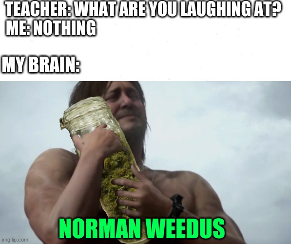 Smoke The Norman Weedus | TEACHER: WHAT ARE YOU LAUGHING AT?
ME: NOTHING; MY BRAIN:; NORMAN WEEDUS | image tagged in norman weedus,lol,funny | made w/ Imgflip meme maker