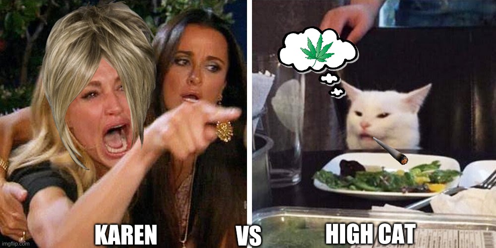 karen vs high cat |  KAREN; VS; HIGH CAT | image tagged in smudge the cat | made w/ Imgflip meme maker