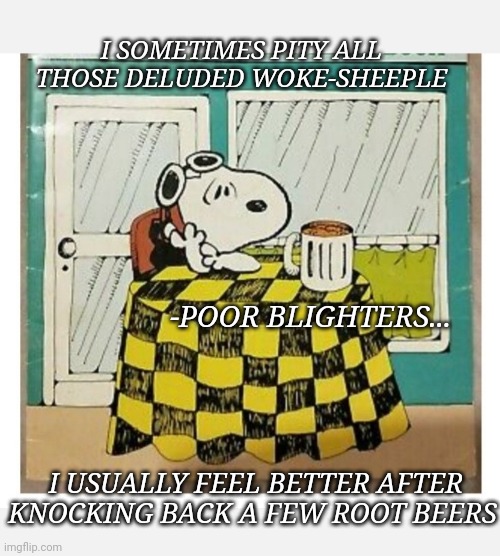 WWI Flying Ace | I SOMETIMES PITY ALL THOSE DELUDED WOKE-SHEEPLE; -POOR BLIGHTERS... I USUALLY FEEL BETTER AFTER KNOCKING BACK A FEW ROOT BEERS | image tagged in woke,idiots,snoopy,flying,sad face | made w/ Imgflip meme maker