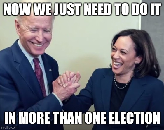 Biden and Harris | NOW WE JUST NEED TO DO IT IN MORE THAN ONE ELECTION | image tagged in biden and harris | made w/ Imgflip meme maker
