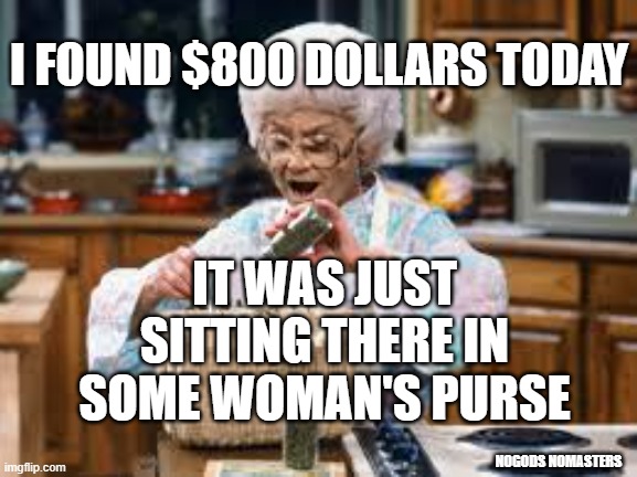 i found it | I FOUND $800 DOLLARS TODAY; IT WAS JUST SITTING THERE IN SOME WOMAN'S PURSE; NOGODS NOMASTERS | image tagged in sophia's food purse | made w/ Imgflip meme maker