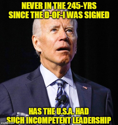 Incompetence | NEVER IN THE 245-YRS SINCE THE D-OF-I WAS SIGNED; HAS THE U.S.A. HAD SUCH INCOMPETENT LEADERSHIP | image tagged in joe biden,incompetence | made w/ Imgflip meme maker