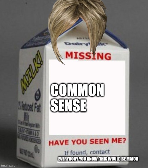 find karens's common sense and you will get upvotes and be followed | COMMON SENSE; EVERYBODY YOU KNOW, THIS WOULD BE MAJOR | image tagged in milk carton | made w/ Imgflip meme maker